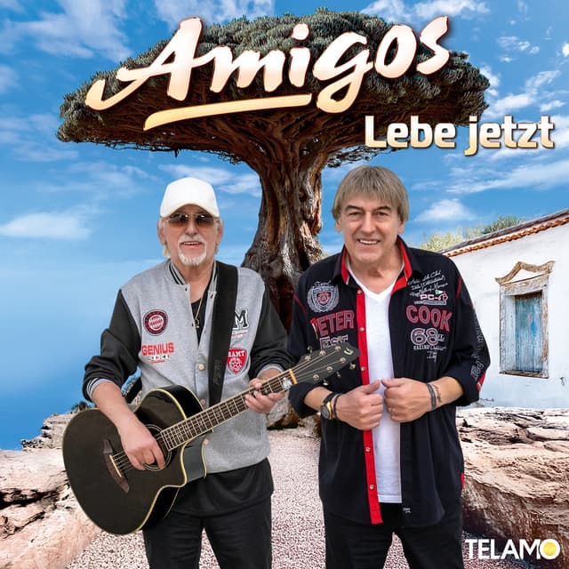 Album cover art for Lebe jetzt