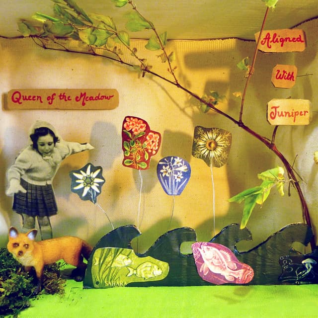 Album cover art for Aligned With Juniper