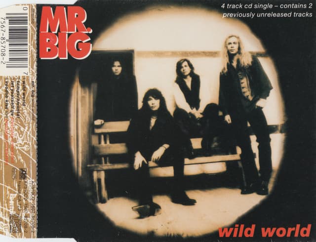 Album cover art for Wild World