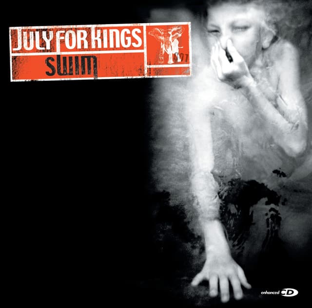 Album cover art for Swim