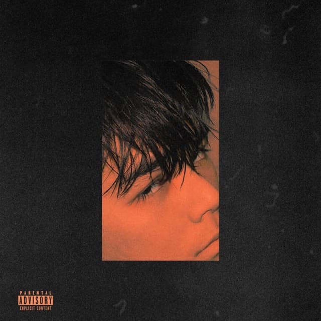 Album cover art for Soldier Without A Rifle