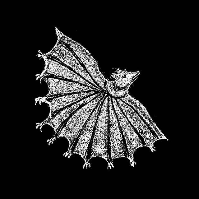 Album cover art for Ignore Grief