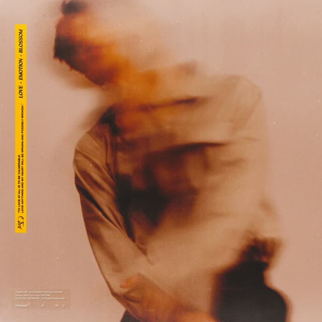 Album cover art for LOVE+EMOTION+BLOSSOM