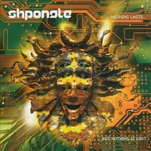 Album cover art for Nothing Lasts...but Nothing Is Lost