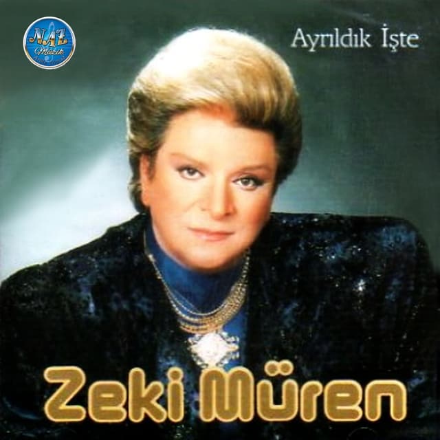 Album cover art for Ayrıldık İşte