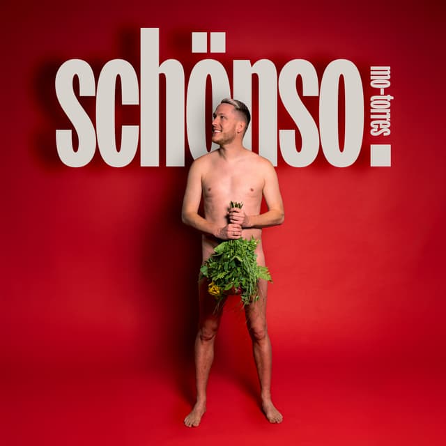 Album cover art for Schönso.