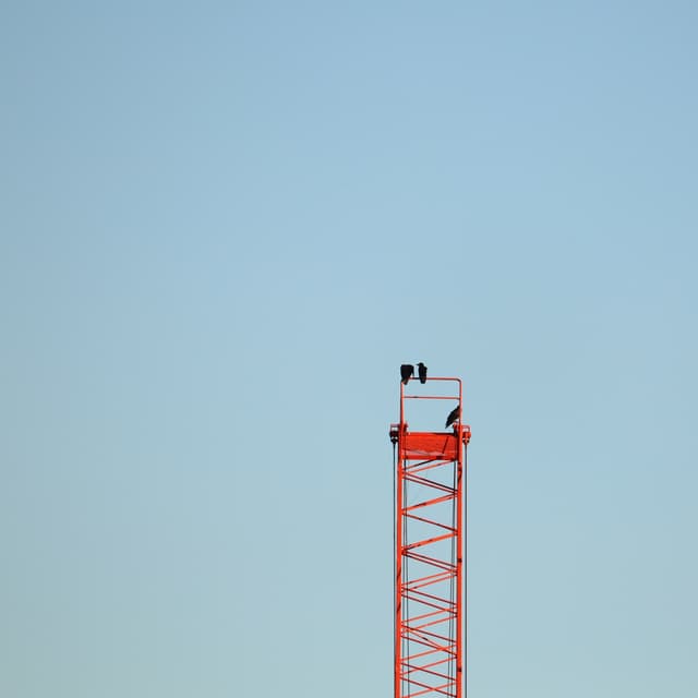 Album cover art for hanewo-yasumete