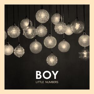Album cover art for Little Numbers