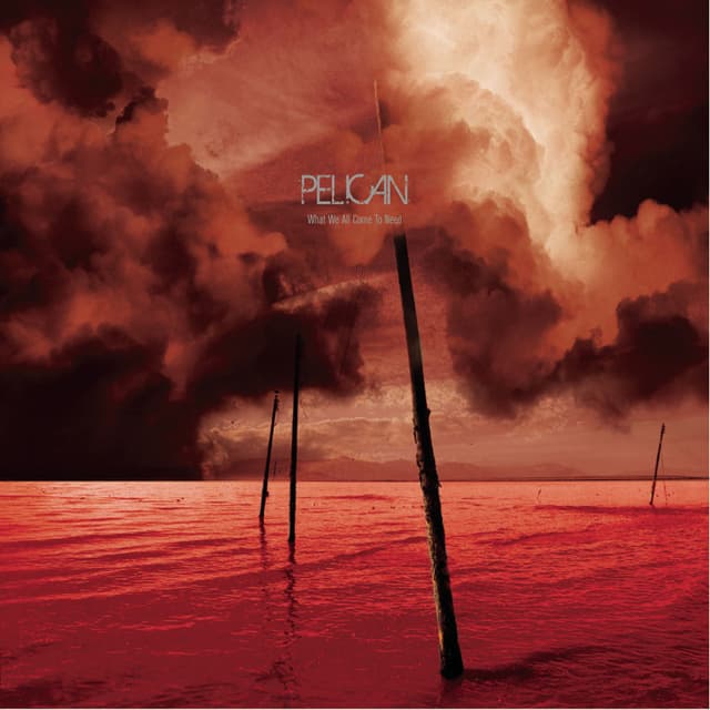 Album cover art for What We All Come to Need