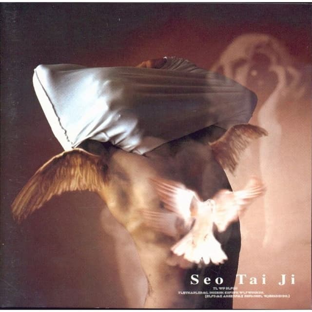 Album cover art for Seotaiji V
