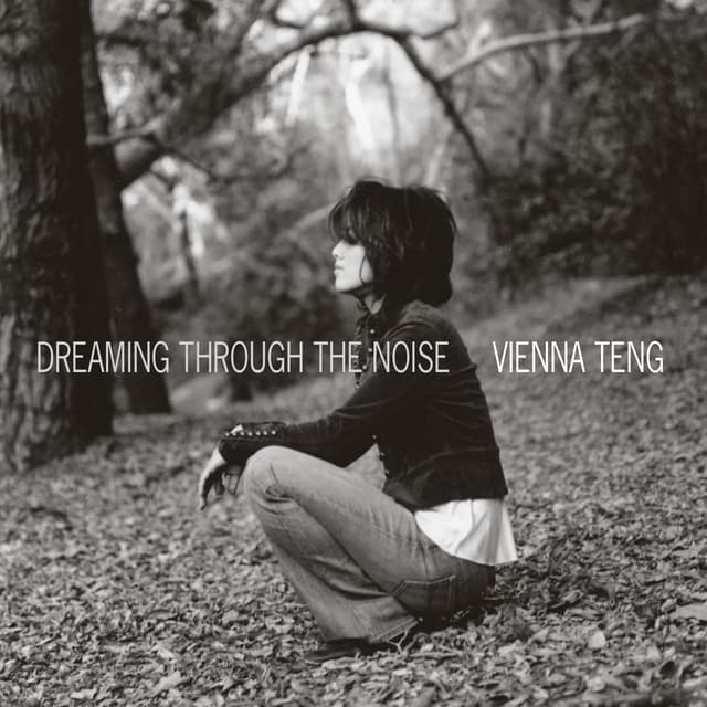 Album cover art for Dreaming Through the Noise