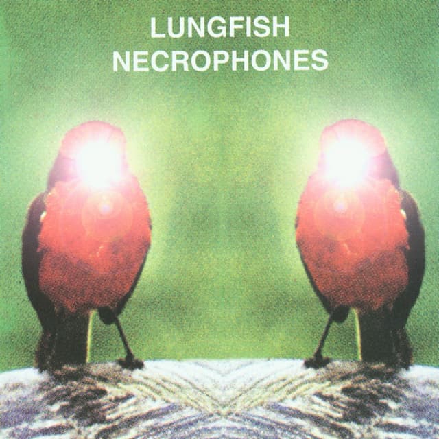 Album cover art for Necrophones
