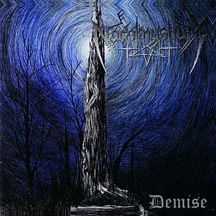Album cover art for Demise