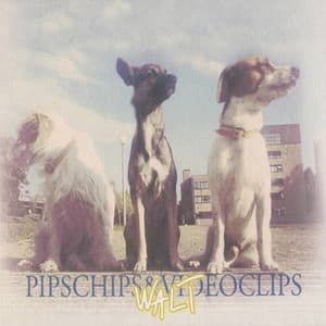 Album cover art for Walt