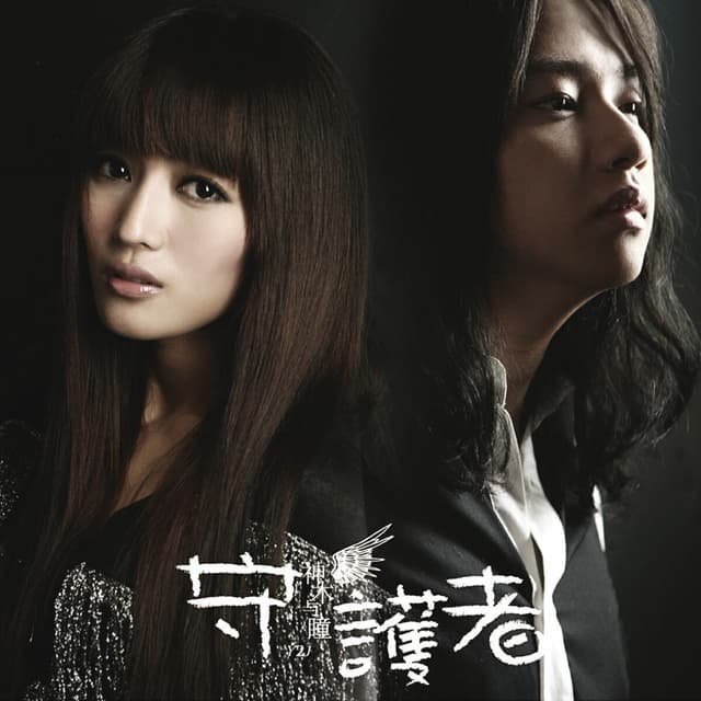 Album cover art for Defender