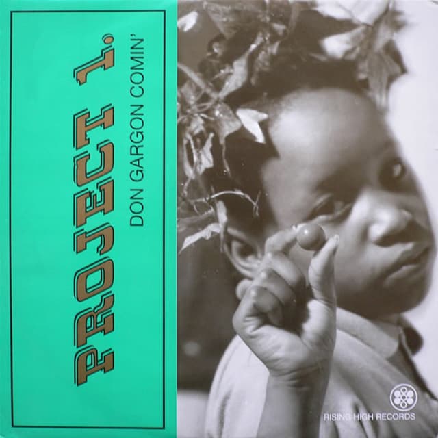 Album cover art for Don Gargon Comin'