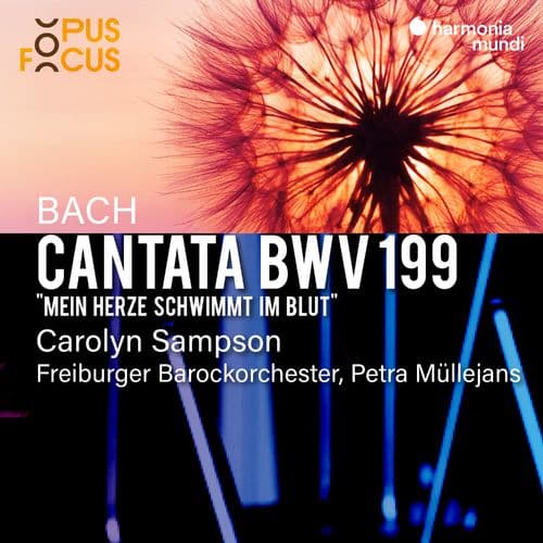 Album cover art for Bach: Cantata, BWV 199