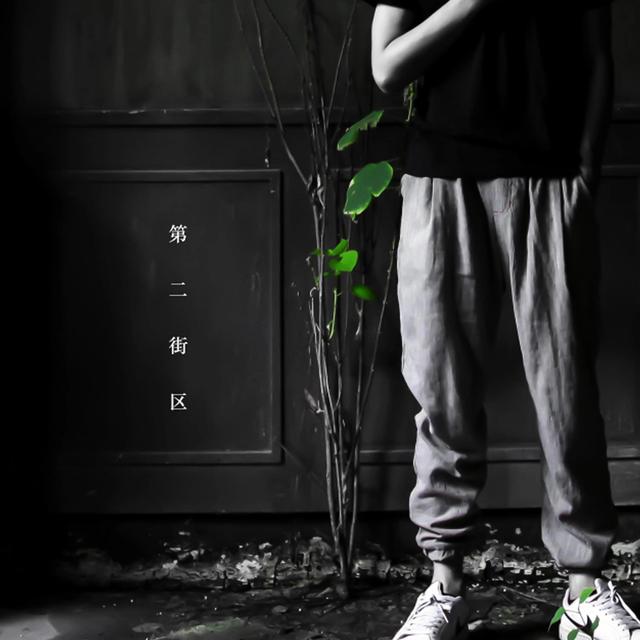 Album cover art for 第二街区