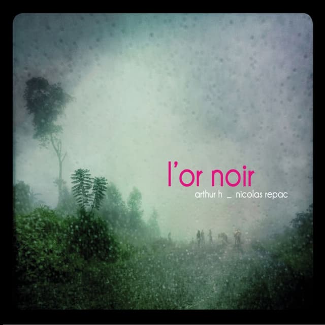 Album cover art for L'Or Noir