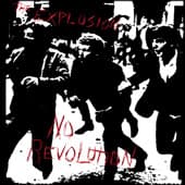 Album cover art for No Revolution