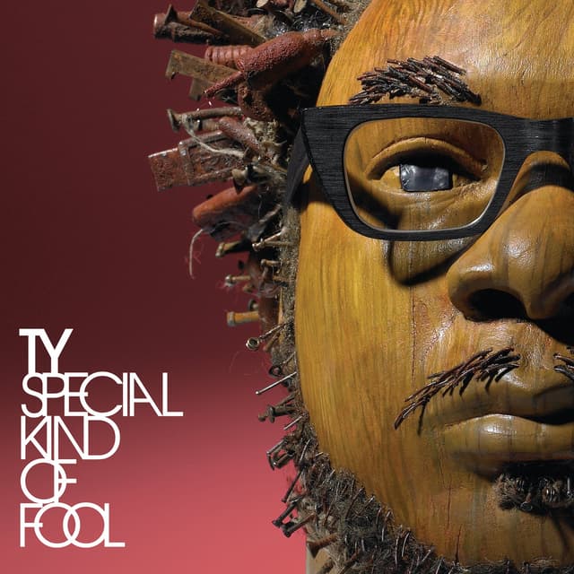 Album cover art for Special Kind of Fool