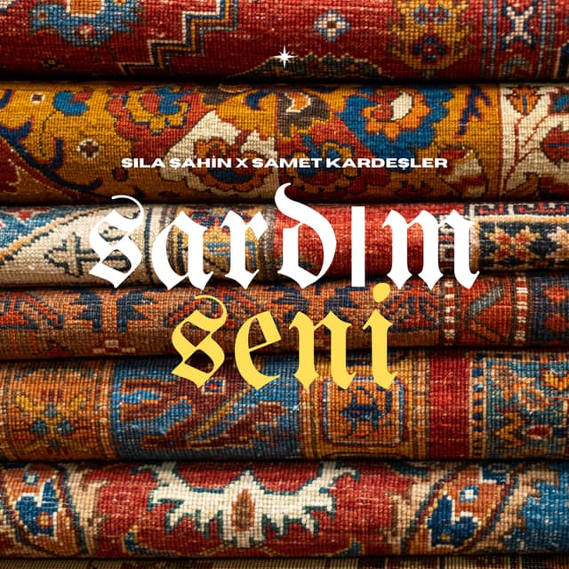 Album cover art for Sardım Seni