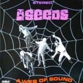 Album cover art for A Web Of Sound