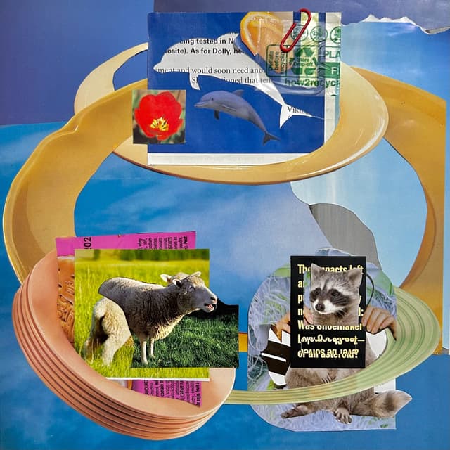 Album cover art for Warattekiitehoshii