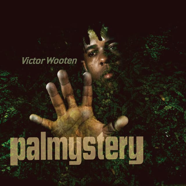 Album cover art for Palmystery