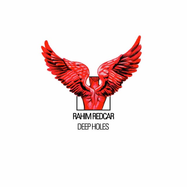 Album cover art for DEEP HOLES