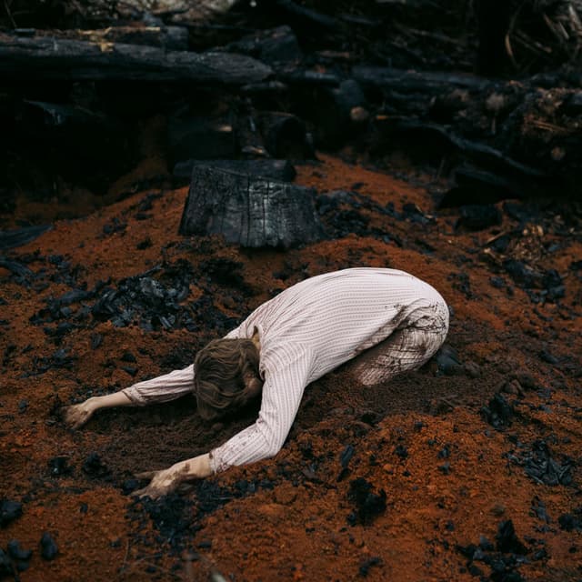 Album cover art for Keeper of the Shepherd