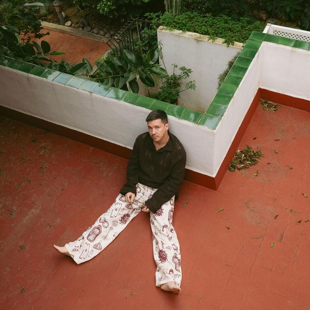 Album cover art for Home Pt. 2