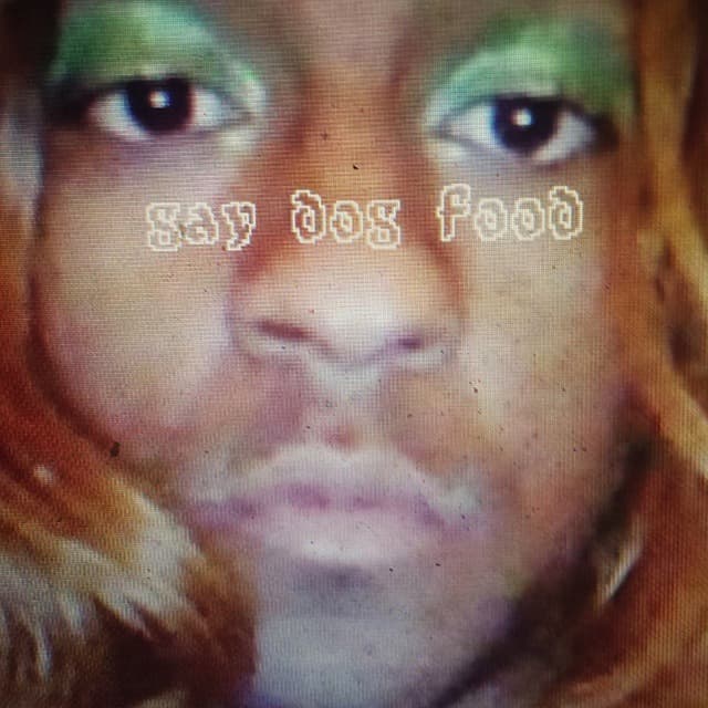 Album cover art for Gay Dog Food