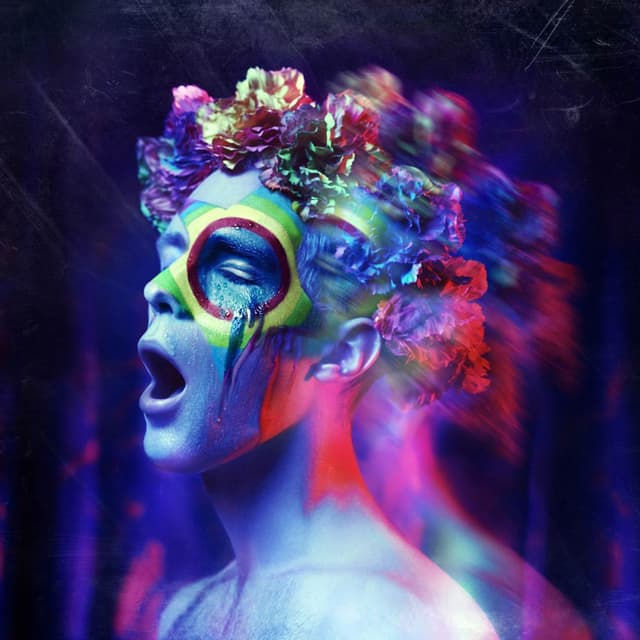 Album cover art for Wonderland