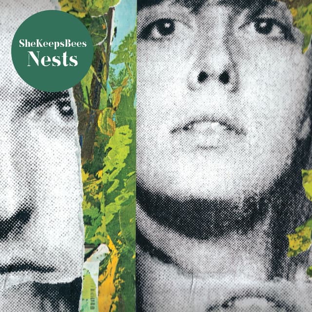 Album cover art for Nests