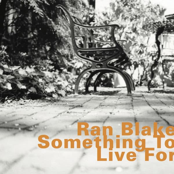 Album cover art for Something To Live For