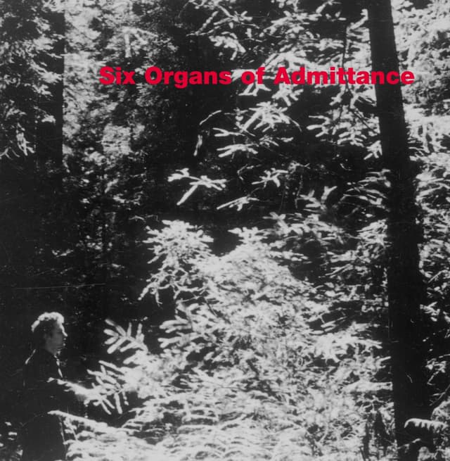 Album cover art for Six Organs Of Admittance