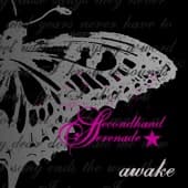 Album cover art for Awake