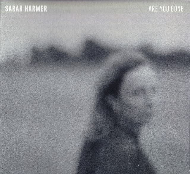 Album cover art for Are You Gone