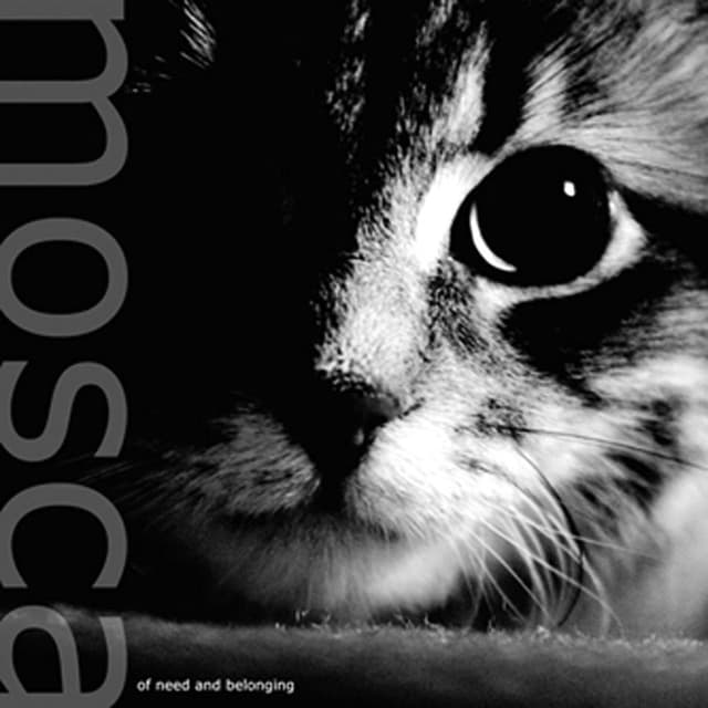 Album cover art for Of Need & Belonging