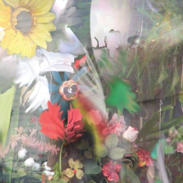 Album cover art for Flowers
