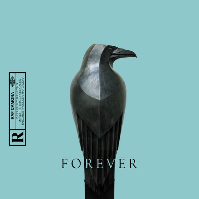 Album cover art for Forever