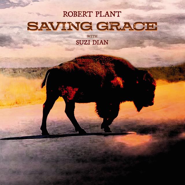 Album cover art for Saving Grace