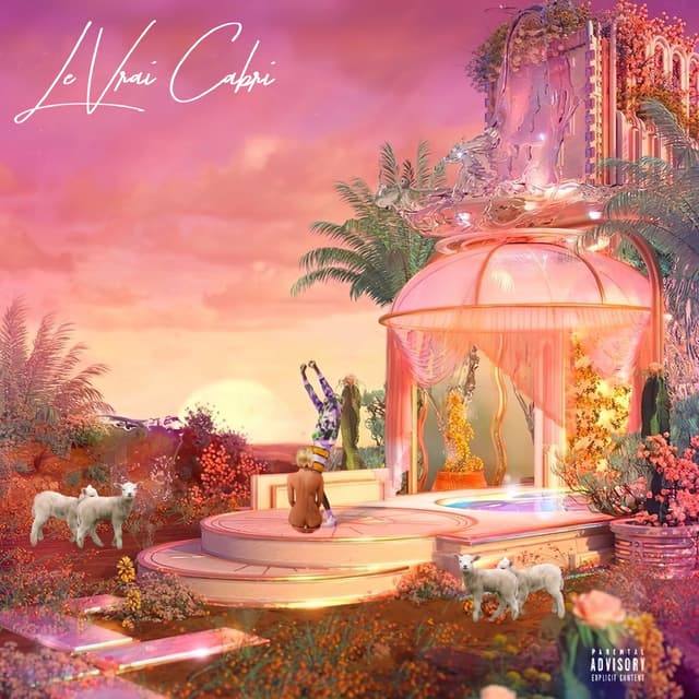 Album cover art for Le Vrai Cabri