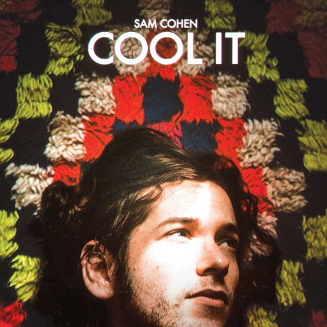 Album cover art for Cool It