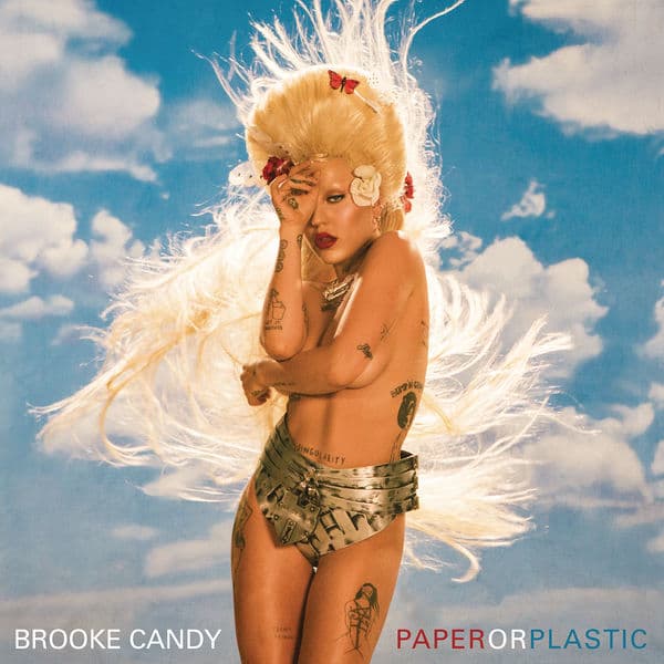 Album cover art for Paper or Plastic