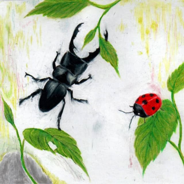 Album cover art for 자연친화적인 앨범