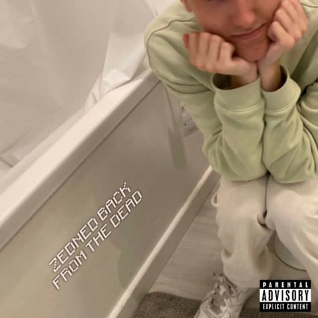 Album cover art for ZEDNED BACK FROM THE DEAD