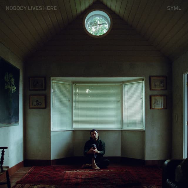 Album cover art for Nobody Lives Here