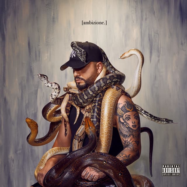 Album cover art for AMBIZIONE